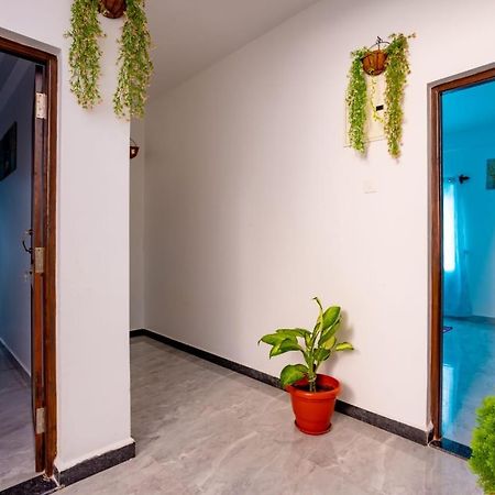 Goan Fiesta Studio Calangute Goa Villa Ngoại thất bức ảnh